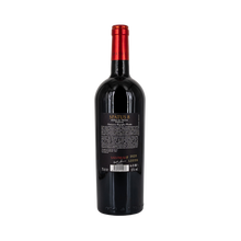 Lade das Bild in den Galerie-Viewer, Tagaro - NERO DI TROIA IGP SPÀTUS 8