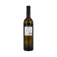 Lade das Bild in den Galerie-Viewer, Villa Polani - CHARDONNAY IGT