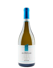 Lade das Bild in den Galerie-Viewer, Weinkeller Hohenbrunn: Weinflasche mit Etikett von der Tenuta Antonini mit Trebbiano d`Abruzzo Lutum DOC von vorne
